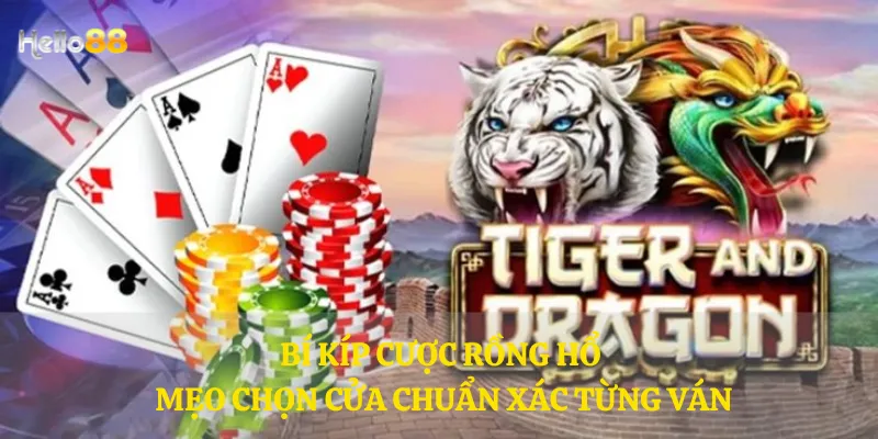 Bí kíp cược Rồng Hổ - Mẹo chọn cửa chuẩn xác từng ván