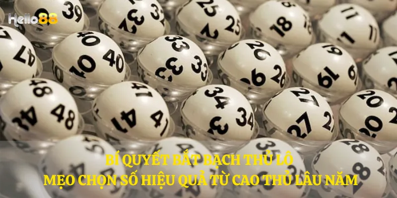 Bí quyết bắt bạch thủ lô - Mẹo chọn số hiệu quả từ cao thủ lâu năm