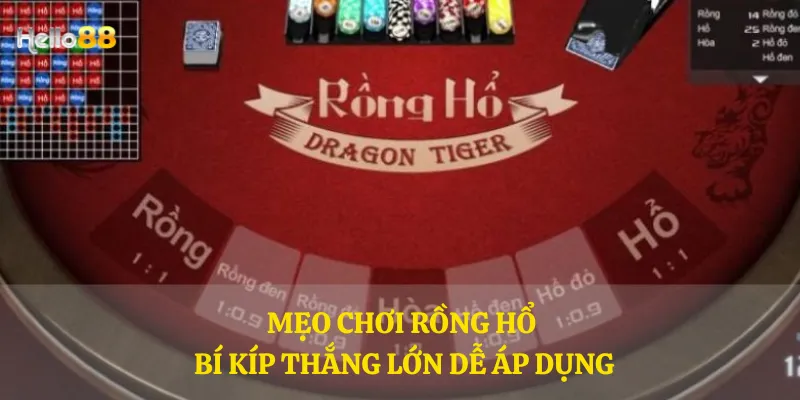 Mẹo chơi Rồng Hổ - Bí kíp thắng lớn dễ áp dụng