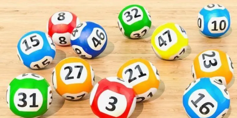 Tổng quan về bạch thủ lô